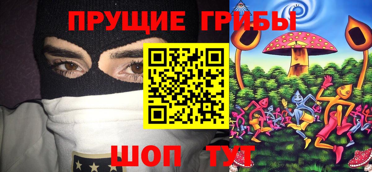 Псилоцибиновые грибы MAGIC MUSHROOMS  где можно купить   Псилоцибиновые грибы Psilocybe  Кинешма  Вход с VPN 